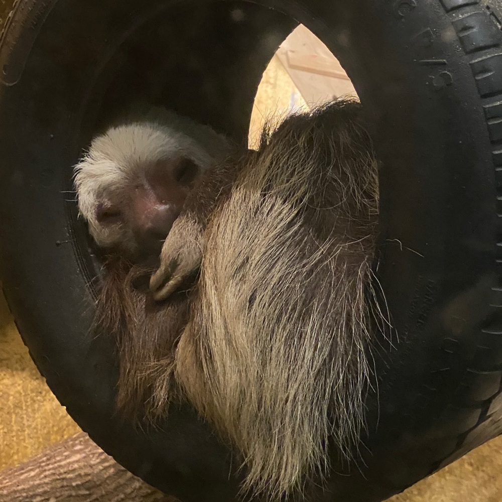 Meet your Posher, Sabrina